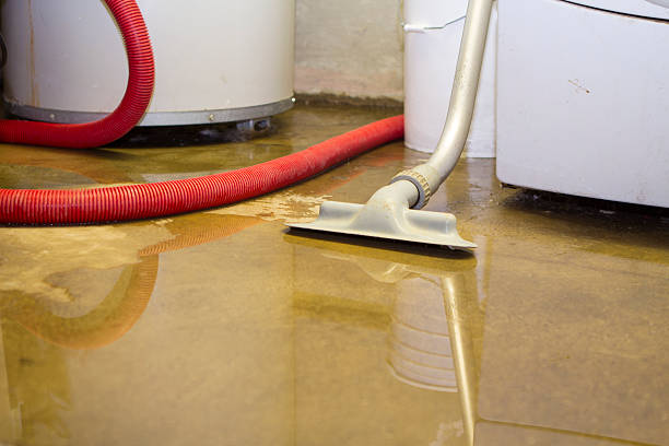 Sewage cleanup and water damage restoration in Level Plains, AL