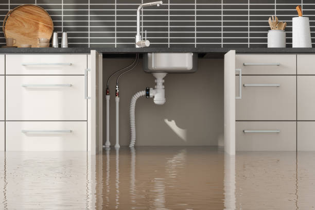 Reliable Level Plains, AL Water damage restoration Solutions